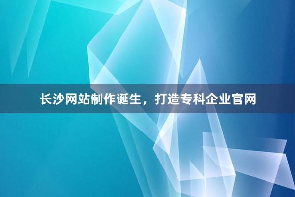 长沙网站制作诞生，打造专科企业官网