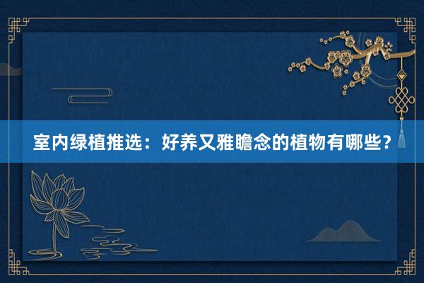 室内绿植推选：好养又雅瞻念的植物有哪些？